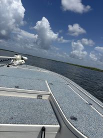 A scenic view of the boat's deck on a sunny day, showcasing the tranquil waters and blue sky, perfect for a fishing adventure.