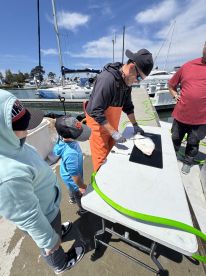 A group of young anglers observing a fish being filleted at a dock, with boats in the background, showcasing a family-friendly fishing experience.