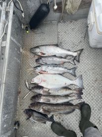 A variety of fish including trout and flounder laid out on the deck of a fishing boat, showcasing a successful catch from a recent fishing trip.