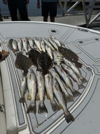 A variety of fish including Speckled Trout and Flounder displayed on a boat's cleaning table after a successful fishing trip.