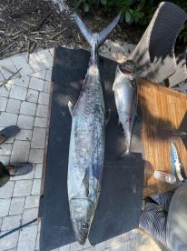 Two large fish, including a notable Kingfish, displayed on a table at a fishing cleaning station, showcasing a successful catch after a day on the water.