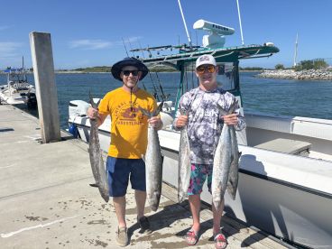 Plenty of Kingfish to go around