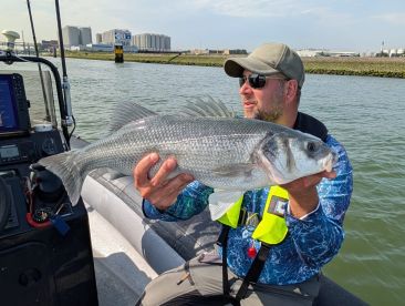 An angler proudly displaying a sizable European Seabass while fishing from a boat in a coastal environment.