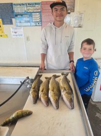 Two young anglers proudly displaying a catch of Walleye on a cleaning table at a fishing location.