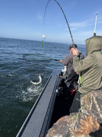 Two anglers actively fishing from a boat, with one preparing to net a fish in open water, showcasing the excitement of the catch.