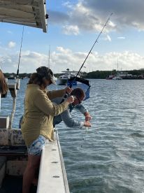 Knowledgeable Skipper