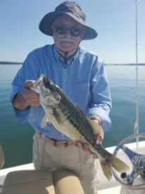 great time , knowledgeable captain , plan to do it again