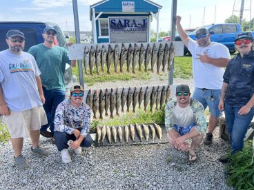 Absolutely phenomenal!