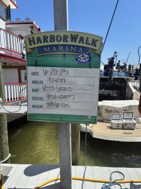 Signboard at HarborWalk Marina displaying details of a Red Snapper catch weighing 34.6 lbs, caught by angler Justin on the boat 'Reel Grace'.