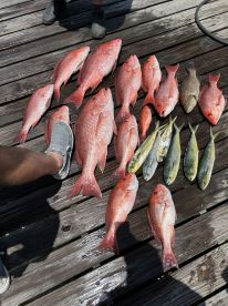 A variety of fish including Snapper and Mahi laid out on a dock, showcasing a successful fishing trip.