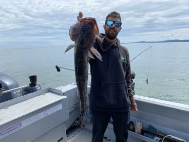 Definitely will use again