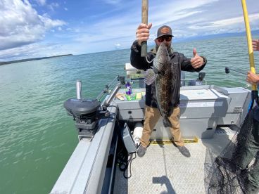 Definitely will use again