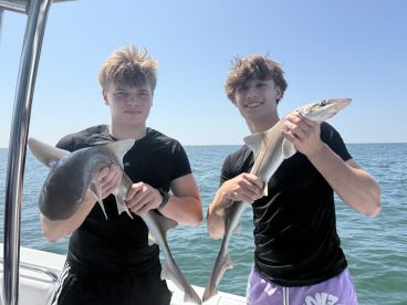 Two young anglers proudly displaying their catches of sharks while fishing offshore, showcasing a sunny day on the water.