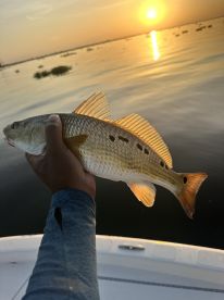Redfish trip
