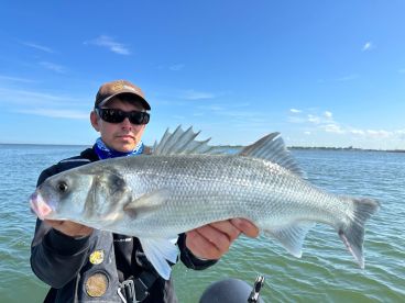 Angler proudly displaying a large striped bass while fishing on a calm day in open waters.