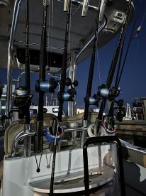 Close-up of fishing rods and reels secured in rod holders on a boat, showcasing the setup for an evening fishing trip.
