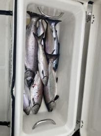 Great day of fishing