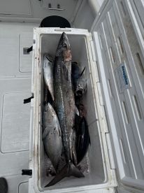 A cooler filled with various fish, including a large King Mackerel and smaller species, showcasing a successful fishing trip aboard a boat.