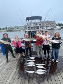 A group of anglers proudly displaying their catch of multiple fish, including large species, at the dock after a successful fishing trip.