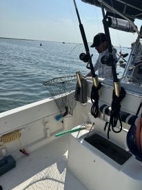 Angler preparing to land a fish using a net while fishing on a boat in a calm water environment.