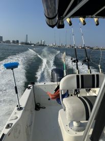 Interior view of a fishing boat showcasing the helm and seating area, with city skyline in the background.