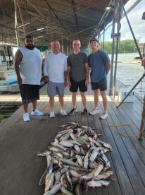 We caught a lot of fish