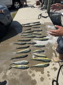 Great captain and mate 