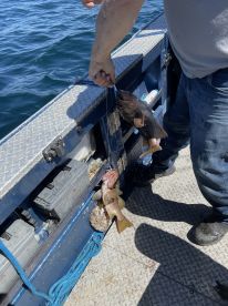 David Runs a Great Boat