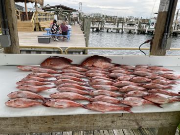 A variety of Snapper displayed on a cleaning table at the dock, with a family enjoying their time in the background.