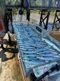 A young angler stands beside a neatly arranged display of Spanish Mackerel on a cleaning table at a dock, showcasing a successful fishing trip.