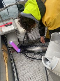 A young angler is reeling in a large Rainbow Trout while fishing on a boat, showcasing the excitement of the catch.