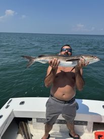 Knows what he is doing 