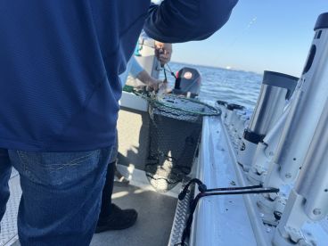 Anglers preparing to catch fish on a boat, showcasing the excitement of fishing in open waters.