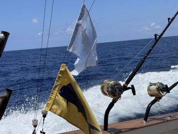 Fantastic fishing day in Kona 