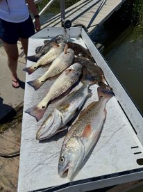 A variety of fish including Redfish and Flounder displayed on a cleaning table at a dock, showcasing a successful fishing trip.