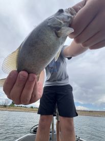A young angler proudly displaying a freshly caught Largemouth Bass while fishing from a boat on a calm lake.