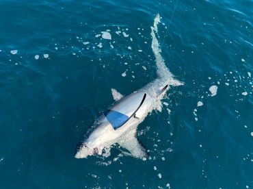 unforgettable, lots of impressions