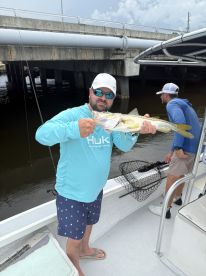 Angler displaying a sizable Snook while fishing near a bridge, showcasing a successful day on the water.