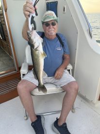 Captain Did It Again 