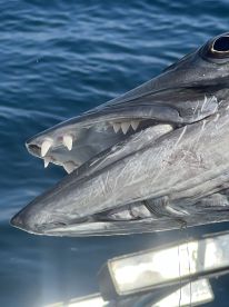 Great day on the water!!