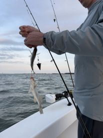 Easy going and fun sunset fishing charter!