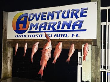 A display of freshly caught Red Snapper hanging on a board at Adventure Marina in Okaloosa Island, FL, showcasing a successful fishing trip.