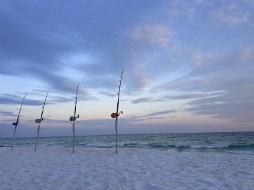 Fishing rods set up on the beach, overlooking the tranquil ocean at sunset, creating a serene fishing environment.