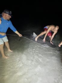 Group of anglers engaged in a thrilling night fishing experience, working together to reel in a large shark on the beach.