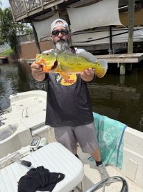 An angler proudly displaying a vibrant Mahi Mahi on a boat, showcasing a successful fishing trip.