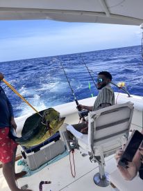 All Around Great Experience