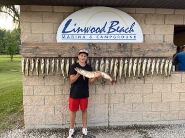 A young angler proudly displaying a large Northern Pike in front of a catch board at Linwood Beach Marina, showcasing a successful fishing trip.
