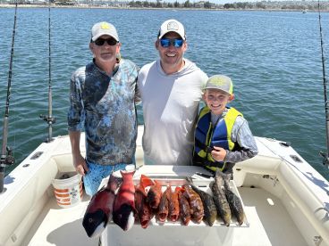 Checked all the boxes