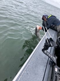 Awesome fishing trip! 