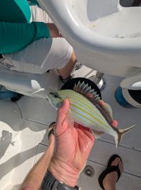 Great Day of fishing!